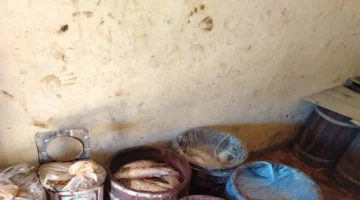 ضبط 12 طن أسماك مملحة غير صالحة للاستهلاك قبل طرحها بالأسواق المحلية